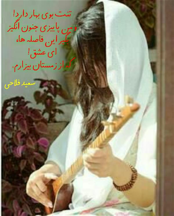 هنر شعر و داستان محفل شعر و داستان زانا کوردستانی #سعید_فلاحی
#زانا_کوردستانی
#رها_فلاحی
#لیلا_طیبی
#شعر
#شعر_کوتاه
#شعر_سپید
#ایران
#عشق
#دوست
#ادبیات
#ادبیات_فارسی
#ادبیات_کردی
#کورد
#کردستان
#کرمانشاه
#همدان
#لرستان
#بروجرد
#نهاوند
#انجمن_شعر_و_ادب_میخانه
#شعر
#شعرک
#پریسکه
#سپکو
#چامه
#چامک
#چکامه
#شاعر
#نویسنده
#نقاش