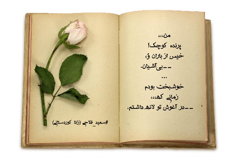 هنر شعر و داستان محفل شعر و داستان زانا کوردستانی #سعید_فلاحی 
#زانا_کوردستانی 
#شعر
#شعر_کوردی