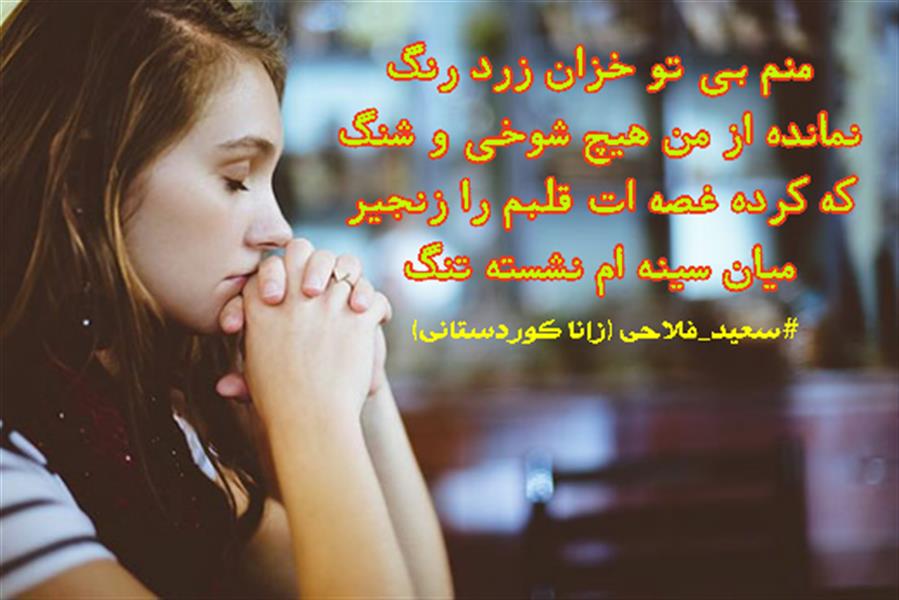 هنر شعر و داستان محفل شعر و داستان زانا کوردستانی #سعید_فلاحی
#زانا_کوردستانی
#لیلا
#لیلایم
#لیلا_طیبی
#رها
#رهایم
#رها_فلاحی
#کتاب
#شعر
#شعر_کوتاه
#شعر_سپید
#ایران
#عشق
#دوست
#ادبیات
#ادبیات_فارسی
#ادبیات_کردی
#کورد
#کردستان
#کرمانشاه
#همدان
#لرستان
#بروجرد
#نهاوند
#انجمن_شعر_و_ادب_میخانه
#شعر
#شعرک
#پریسکه
#سپکو
#چامه
#چامک
#چکامه
#شاعر
#نویسنده
#نقاش