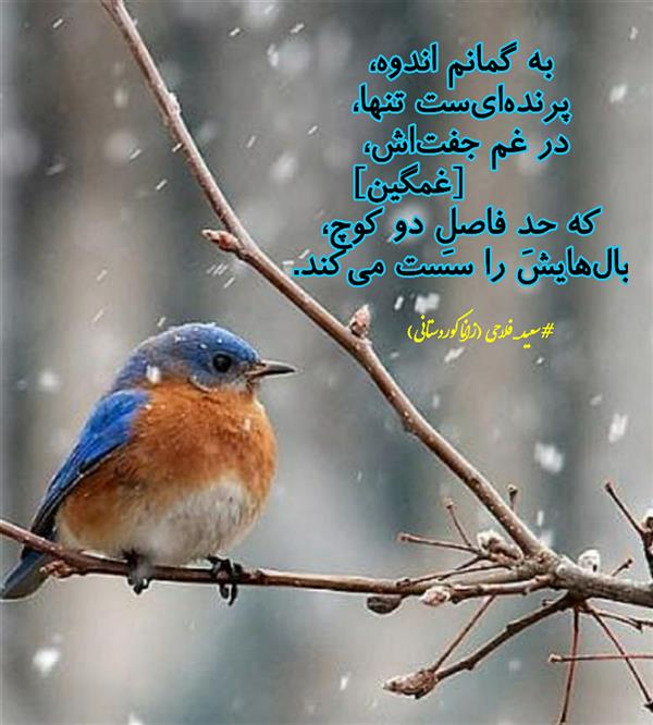 هنر شعر و داستان محفل شعر و داستان زانا کوردستانی #سعید_فلاحی
#زانا_کوردستانی
#لیلا
#جیگر
#جیگرگوشه
#پاره_تن
#رها
#انجمن_شعروادب_میخانه
#انجمن_ادبی_رها
#میخانه
#کانون_شاعران_آزاد
#شعر
#اشعار
#شاعر
#شاعران
#شعرا
#هاشور
#هاشور_در_هاشور
#همراهی
#شعر_پاک
#شعر_ایران
#شعر_ناب
#شعر_آزاد
#هنرات
#ویرگول
#ویسگون
#دختر
#دخترونه
#تیوال
#زمستان
#بهار
#مهر
#آبان
#شعری_برای_تو
#قلم_عشق
#عشق_و_شعر
#شاعران_پارسی_زبان
#انجمن_شاعران_جوان
#ادبی_ها
#دو_بیتی
#تک_بیتی
#شعر_آزاد
#شعر_نو
#شعر_موج_نو
#شعر_کوتاه
#شعر_سپید
#شعر_مینیمال
#شعرنوش
#آوای_شعر
#چکامه
#رازک
#شعرک
#پریسکه
#چامه
#هنر
#هنرمند
#هنرمندان_ایران
#هنرمندان_کردستان
#هنرمندان_کورد
#معرقکاری
#معرق
#عکاس
#عکاسی
#داستان
#دلنوشته
#متن_ادبی