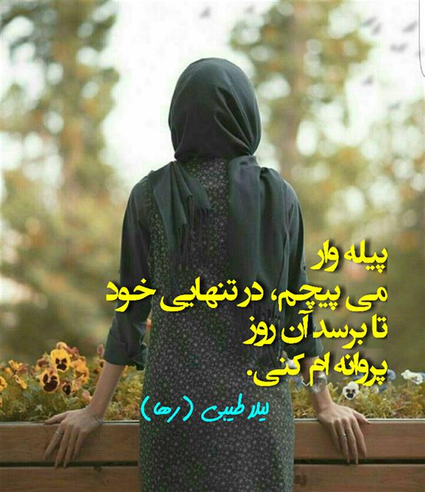 هنر شعر و داستان محفل شعر و داستان لیلا طیبی (صحرا) #لیلا_طیبی
#لیلاطیبی
#لیلا_طیبی(رها)
#لیلا
#سعیدفلاحی
#سعید_فلاحی
#رهافلاحی
#شعر
#شعرکوتاه
#شعرسپید
#شاعر
#هنرمند
#لر
#بروجرد
#نهاوند