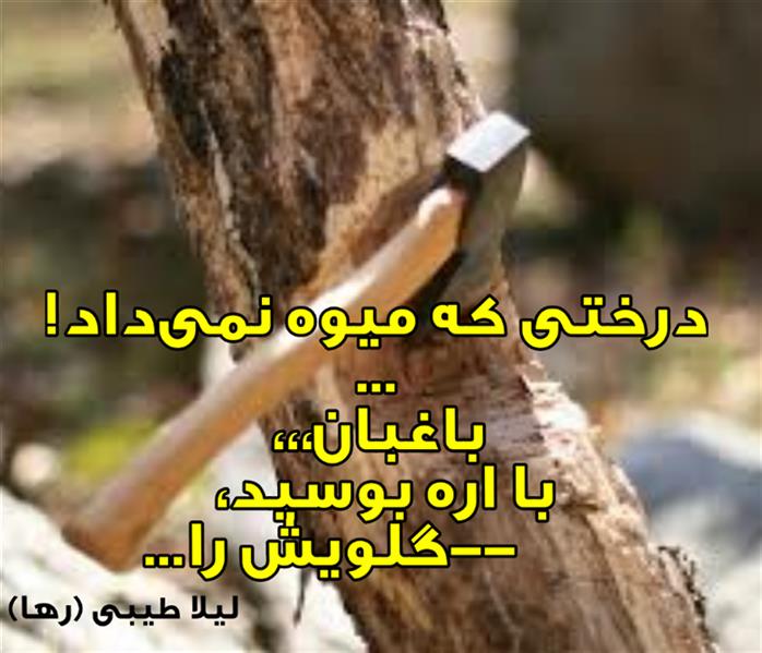 هنر شعر و داستان محفل شعر و داستان لیلا طیبی (صحرا) #لیلا_طیبی
#لیلا
#جیگر
#جیگرگوشه
#پاره_تن
#رها_فلاحی
#رها
#شعر
#اشعار
#شاعر
#شاعران
#شعرا
#هاشور
#هاشور_در_هاشور
#همراهی
#شعر_پاک
#شعر_ایران
#شعر_ناب
#شعر_آزاد
#هنرات
#همسرایی
#ویسگون
#بوکنرد
#تیوال
#زمستان
#بهار
#مهر
#آبان
#شعری_برای_تو
#قلم_عشق
#عشق_و_شعر
#شاعران_پارسی_زبان
#انجمن_شاعران_جوان
#ادبی_ها
#دو_بیتی
#تک_بیتی
#شعر_آزاد
#شعر_نو
#شعر_موج_نو
#شعر_کوتاه
#شعر_سپید
#شعر_مینیمال
#شعرنوش
#آوای_شعر
#چکامه
#رازک
#شعرک
#پریسکه
#چامه
#هنر
#هنرمند
#هنرمندان_ایران
#هنرمندان_کردستان
#هنرمندان_کورد
#معرقکاری
#معرق
#عکاس
#عکاسی
#داستان
#دلنوشته
#متن_ادبی
#هفت_هنر
#کانال_شعر_و_شعور
#رقص_حروف
#انجمن_شاعران_جوان
#شاعران_پارسی_زبان
#صیانت_شعر
#آیات_غمزه
#نویسنده
#نقاش
#نقاشی
#طراحی
#کرمانشاه
#کامیاران
#بروجرد
#کردستان
#کوردستان
#لرستان
#نهاوند
#کتاب_عشق_پایکوبی-میکند
#کتاب_گنجشک_های_شهر_هم_عاشقانه_نگاهت_میکنند
#کتاب_عشق_از_چشمانم_چکه_چکه-میریزد
#saeidfallahi
#zanakordistani
#lilatayebi
#rahafallahi