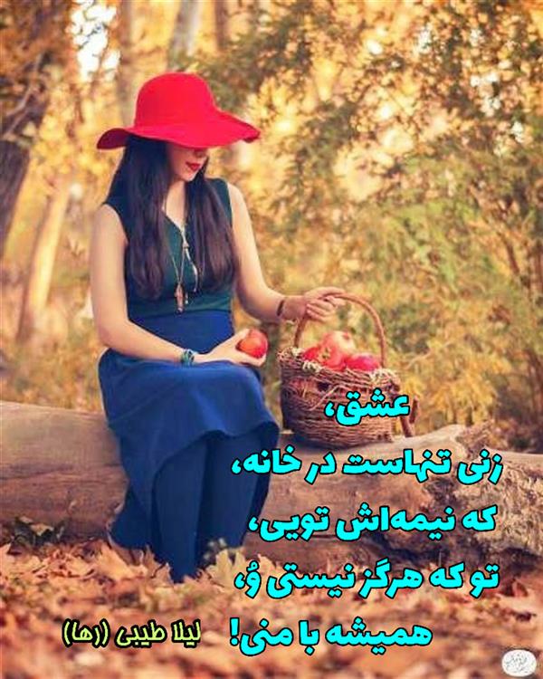 هنر شعر و داستان محفل شعر و داستان لیلا طیبی (صحرا) شعر هاشور