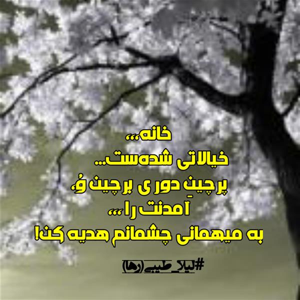 هنر شعر و داستان محفل شعر و داستان لیلا طیبی (صحرا) #لیلا_طیبی
#لیلاطیبی
#نهاوند
#بروجرد
#ایران
#شاعران_زن
#شاعران_ایرانی
#شاعران_لر
#شاعران_عصر_ما
#شعر
#شعر_کوتاه
#هاشور
#زن
#دختر
#عشق