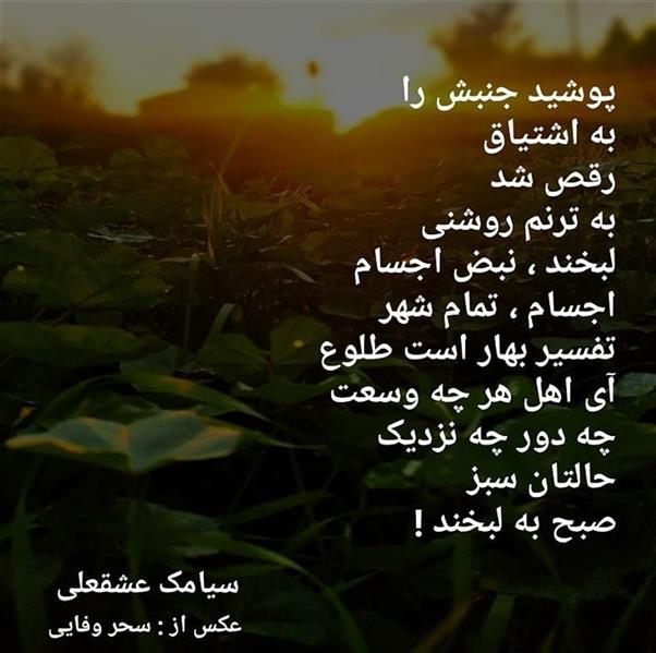 هنر شعر و داستان محفل شعر و داستان سیامک عشقعلی سیامک عشقعلی
#شعر #شعر_کوتاه #شعر_یادت_نره #شعر_ناب #شعر_سپید 
#شعر_سپید_کوتاه #احمد_شاملو #گروس_عبدالملکیان #فروغ_فرخزاد #مینیمالهایی_برای_زندگی #سخنان_ناب #انتشارات #کتابخوانی #کتاب_خوب_بخوانیم #صادق_هدایت #نیچه #عباس_کیارستمی #فلسفه #روانشناسی_اجتماعی #آداب_معاشرت #دخترونه #فیلم_کوتاه #ویروس_کرونا #کرونا_را_شکست_میدهیم