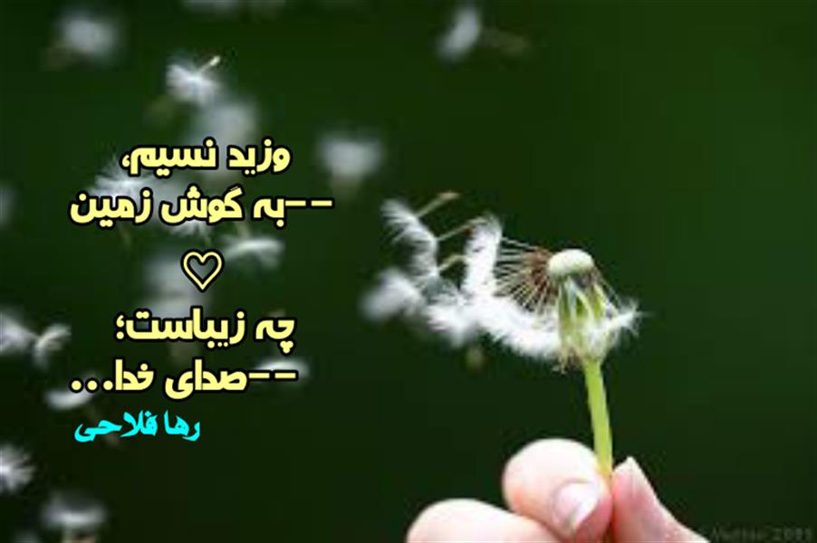 هنر شعر و داستان محفل شعر و داستان رها فلاحی #رها_فلاحی
#رهافلاحی
#شعرکودک
#هاشور
#بروجرد