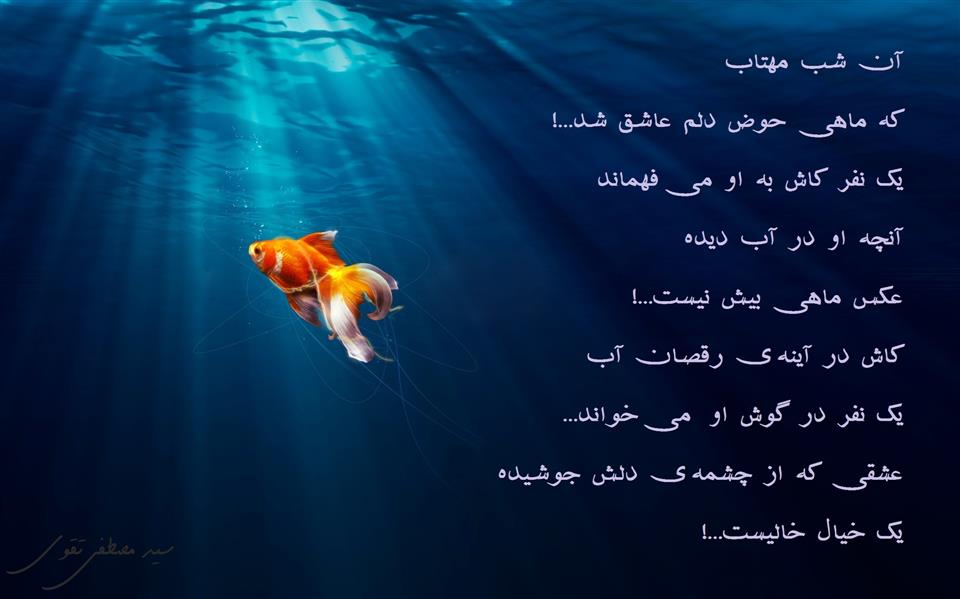 هنر شعر و داستان محفل شعر و داستان سید مصطفی تقوی دوست شعر خیال خالی از متن کتاب ترنم عشق اثر سید مصطفی تقوی دوست
