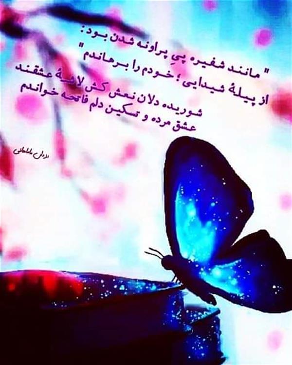 هنر شعر و داستان محفل شعر و داستان یزدان ماماهانی سـیـگـار شـدم ، سـوخـتـم و کـام رسـانـدم ..
خاکـستر و دود گشتـم و بعد محو هـمـانـدم
تـیـمـار کسـی بـودم و غـمخـوار کسی بـود !
حـیـف گـشت دلـکـم را پـیِ بیـگانـه دوانـدم
مِـی خـورد و ز سر ؛ یاد مرا مـست پـراندش
مِـی خـوردم و یـاد از سر مـستـانـه پـرانـدم
پیـمان و وفـا بستـه و نامـرد زد و بـشکـست
عـهـد از سـر نـاچـاری و مـردانـه شـکانـدم ..
پیـونـد خـوشـاینـد نـشــود ؛ رابـطـهٔ شـوم !
بـیـن دل و دلـبـر بـه غـلـط واسـطـه مـانـدم
" مـانـنـد شـفـیـره پـیِ پـراونـه شـدن بــود :
از پـیـلـهٔ شـیـدایـی ؛ خــودم را بــرهـانـدم "
شـوریـده دلان نـعـش کـش لاشــهٔ عـشقـنـد
عـشق مرده و تسکیـن دلم فاتحـه خـوانـدم
#دلمرده
#یزدان_ماماهانی
#سـرایـش۶_۱_۱۴۰۱
_🎹♥️ اُرگـ ســـــرخ ♥️🎹_