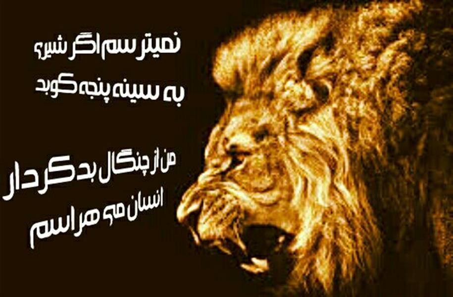 هنر شعر و داستان محفل شعر و داستان یزدان ماماهانی من از آرامش شبهای ترسان می هراسم
من از آن خار بر دیوار چسبان می هراسم
هراسی نیست از برخورد و شأن روستایی
من از فرهنگ شهرستان و استان می هراسم
اگر آپارتمانی با نمایی مرمری هست
من از بنیان نامیزان ویران می هراسم
هراسی از هجوم گلۀ گرگی ندارم
من از کفتار خونخوار بیابان می هراسم
هراسی از تلاطم خیز دریا نیستش ، من
ز خشم کوسه های تیز دندان می هراسم
نه از هُشیار تام و مطّلع باکی نباشد
من از آگه نبودن های نادان می هراسم
نمیترسم اگر شیری به سینه پنجه کوبد
من از چنگال بدکردار انسان می هراسم
هراس
یزدان_ماماهانی
نگارش۱۳۹۸/۱۰/۱
ــــــــ🍃🦋گیـــتار بی تــــار🦋🍃____