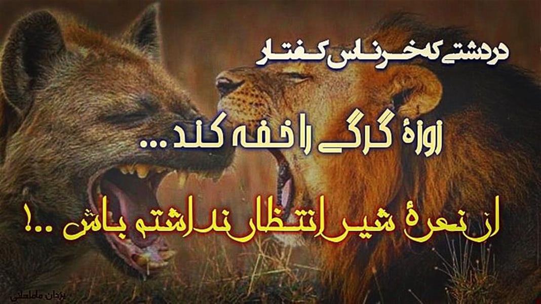 هنر شعر و داستان محفل شعر و داستان یزدان ماماهانی در دشتی که خـرنـاس کـفتـار
زوزهٔ گـرگـی را خـفـه کـنـد ...
از نـعـرهٔ شیـر انتـظار نداشـته
بـاش ..!!
#دلـواژههای
#یزدان_ماماهانی
_🎼🎸گیـــتار بـیتــــار🎸🎼_