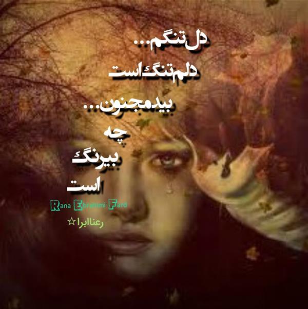 هنر شعر و داستان محفل شعر و داستان رعنا ابراهیمی فرد #رعناابراهیمی_فرد
#رعناابرا
#رعناابراهیمیفرد
#ranaebra
#rana.ebrahimi.fard
#دلتنگم
#عشق
#شعر
#شاعر
#دلتنگی
#بادمجون
دلتنگم..
دلم تنگ است
بید مجنون چه بیرنگ است
#چه_بر_سر_عشق_آمد
