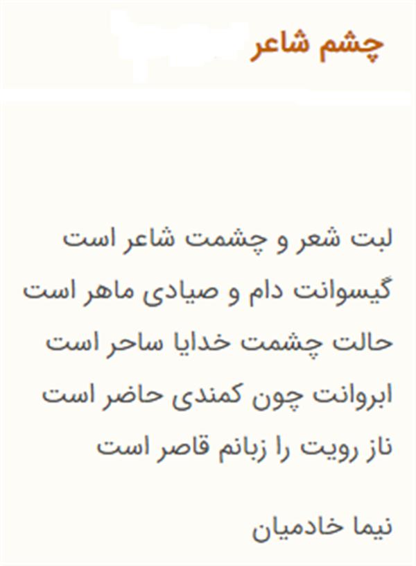 هنر شعر و داستان محفل شعر و داستان نیما خادمیان 3