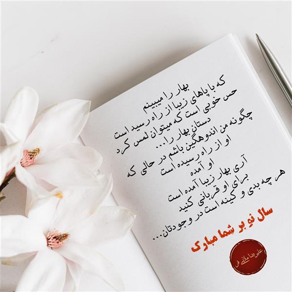 هنر شعر و داستان محفل شعر و داستان علیرضا ملایی فر #بهار#علیرضا_ملایی_فر#زابل#نویسنده