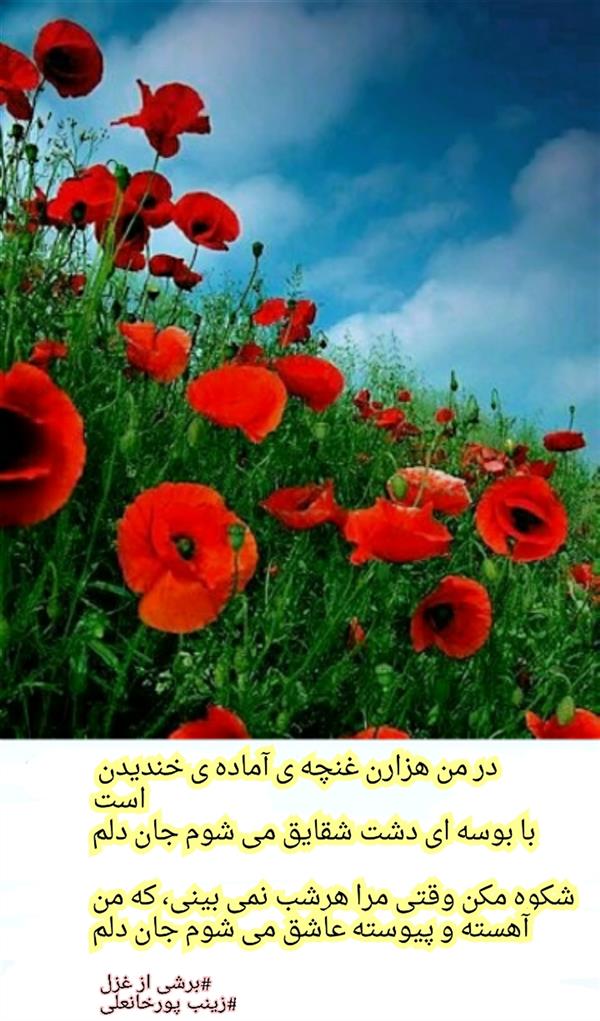 هنر شعر و داستان محفل شعر و داستان سپورعلی 
