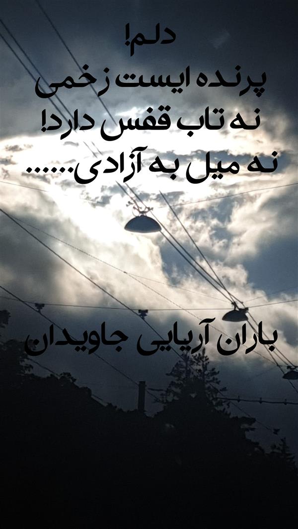هنر شعر و داستان محفل شعر و داستان Baran aryaee javidan #باران آریایی جاویدان