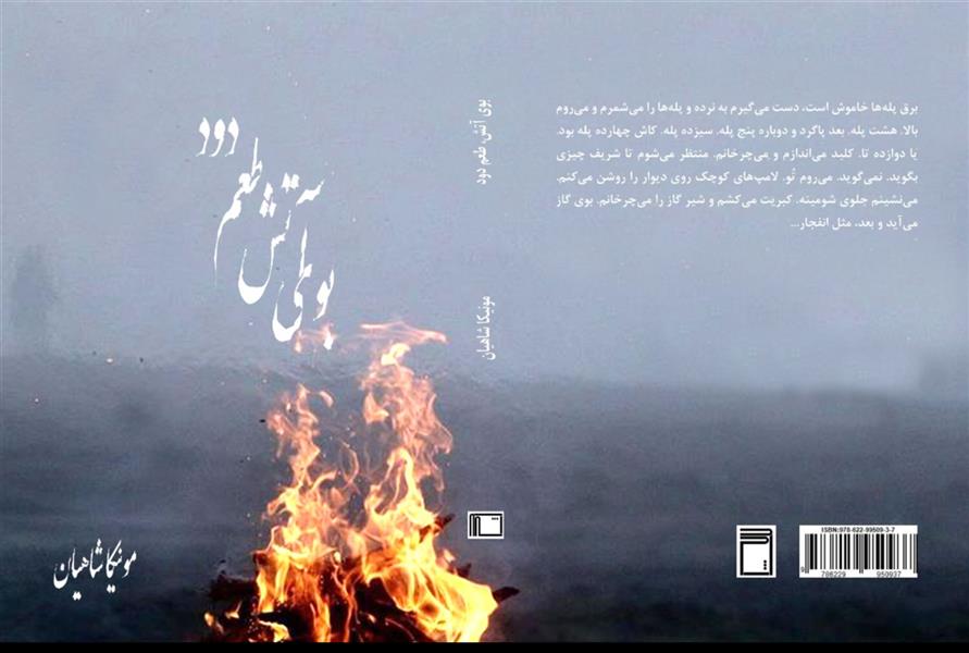 هنر شعر و داستان محفل شعر و داستان مونیکا شاهیان  #رمان #بوی_آتش_طعم_دود