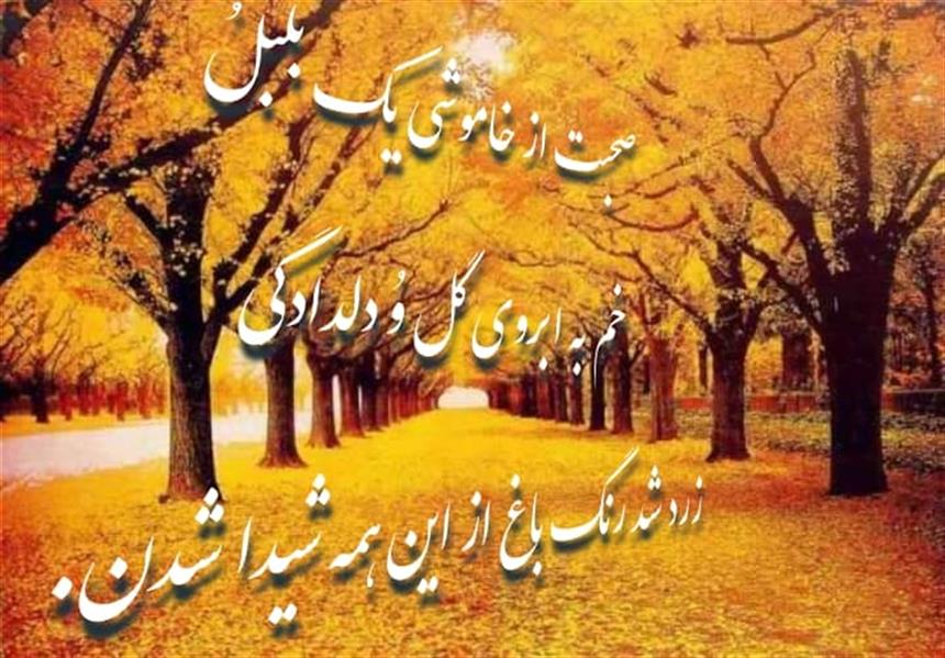 هنر شعر و داستان محفل شعر و داستان مسعود آزادبخت #گل#باغ#سلام صبح#مسعود آزادبخت
