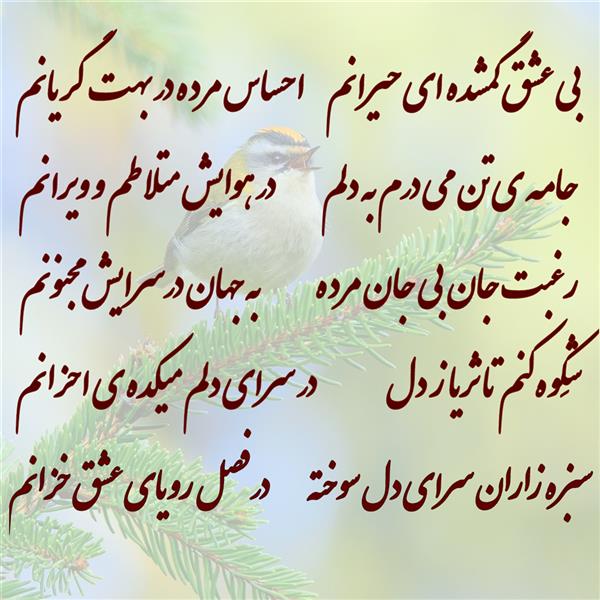 هنر شعر و داستان محفل شعر و داستان زهرا خانکانلو بی عشق 