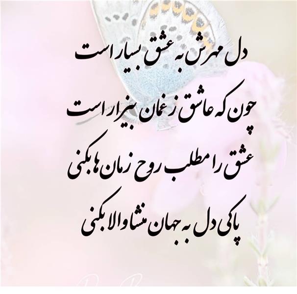 هنر شعر و داستان محفل شعر و داستان زهرا خانکانلو حقیقت عشق