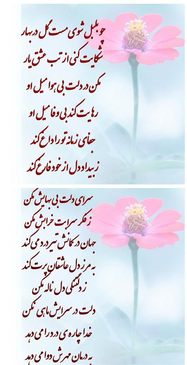 هنر شعر و داستان محفل شعر و داستان زهرا خانکانلو بی وفایی