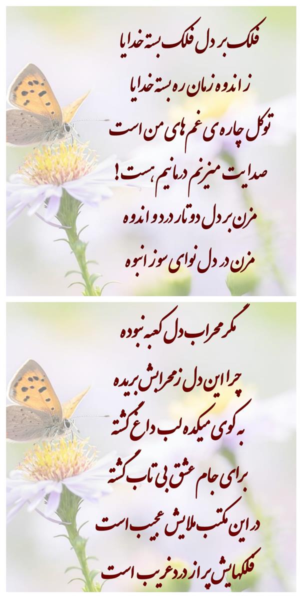 هنر شعر و داستان محفل شعر و داستان زهرا خانکانلو زمانه