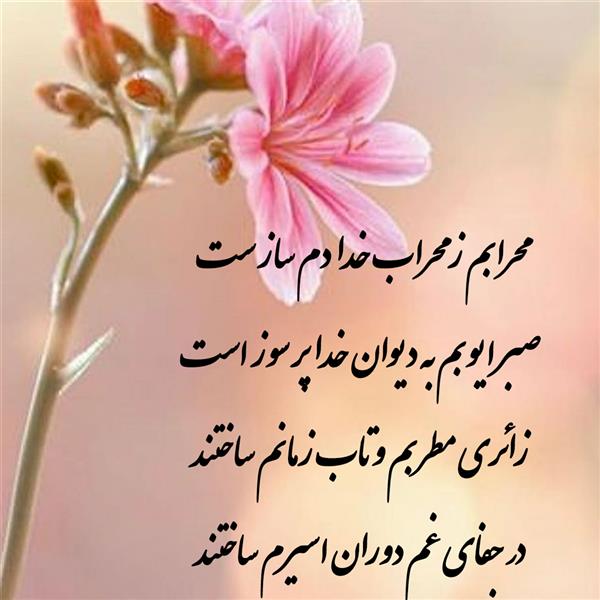 هنر شعر و داستان محفل شعر و داستان زهرا خانکانلو صبوری