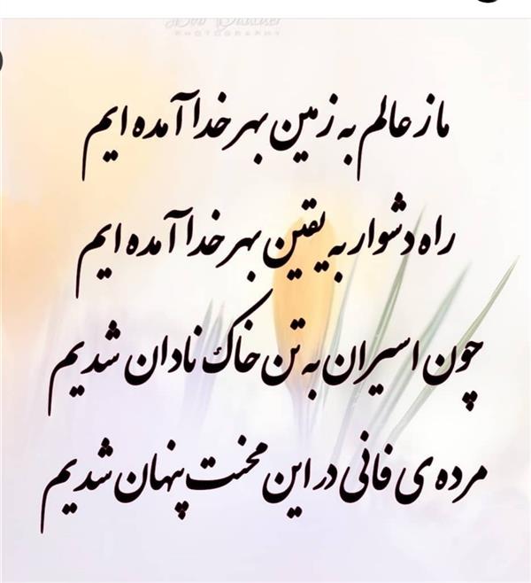 هنر شعر و داستان محفل شعر و داستان زهرا خانکانلو روح وتن