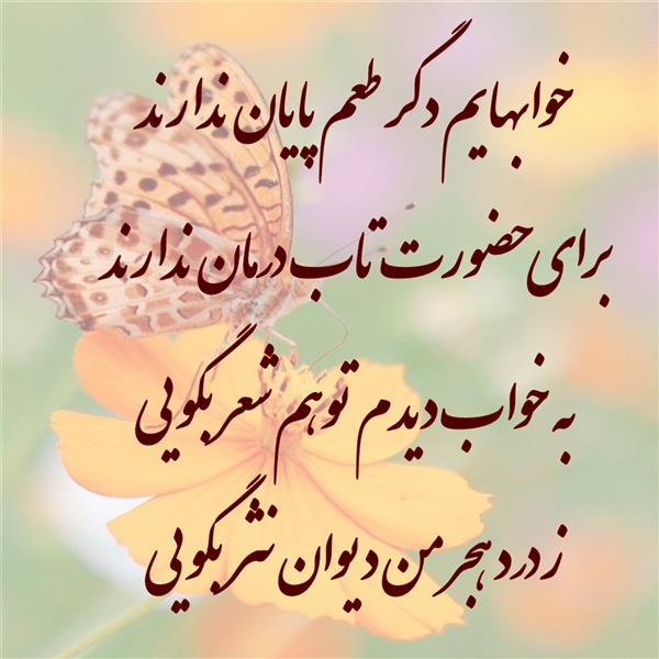 هنر شعر و داستان محفل شعر و داستان زهرا خانکانلو عشق