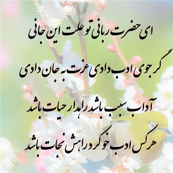 هنر شعر و داستان محفل شعر و داستان زهرا خانکانلو ادب