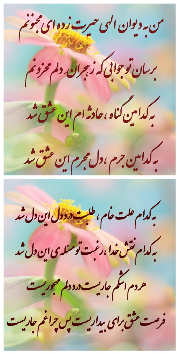 هنر شعر و داستان محفل شعر و داستان زهرا خانکانلو عشق 