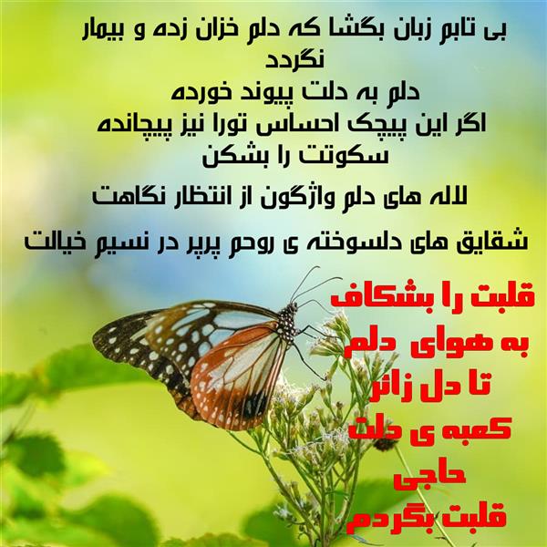 هنر شعر و داستان محفل شعر و داستان زهرا خانکانلو عشق