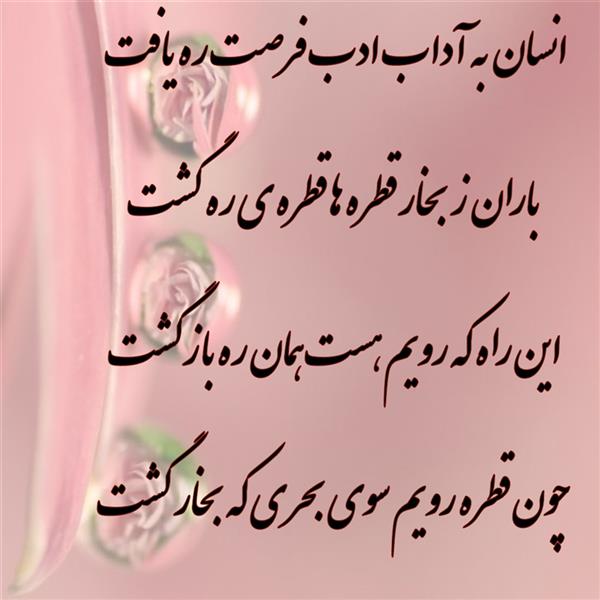 هنر شعر و داستان محفل شعر و داستان زهرا خانکانلو ادب