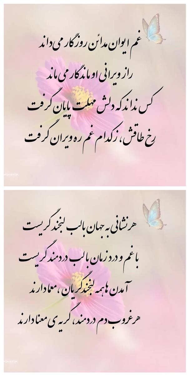 هنر شعر و داستان محفل شعر و داستان زهرا خانکانلو روزگار