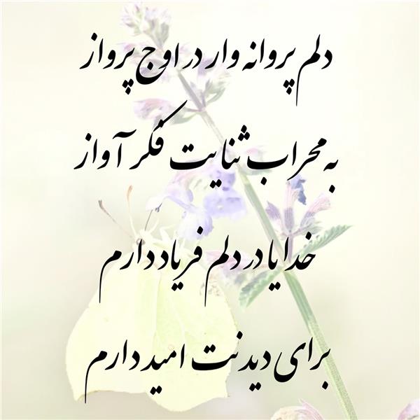 هنر شعر و داستان محفل شعر و داستان زهرا خانکانلو خدا و امید