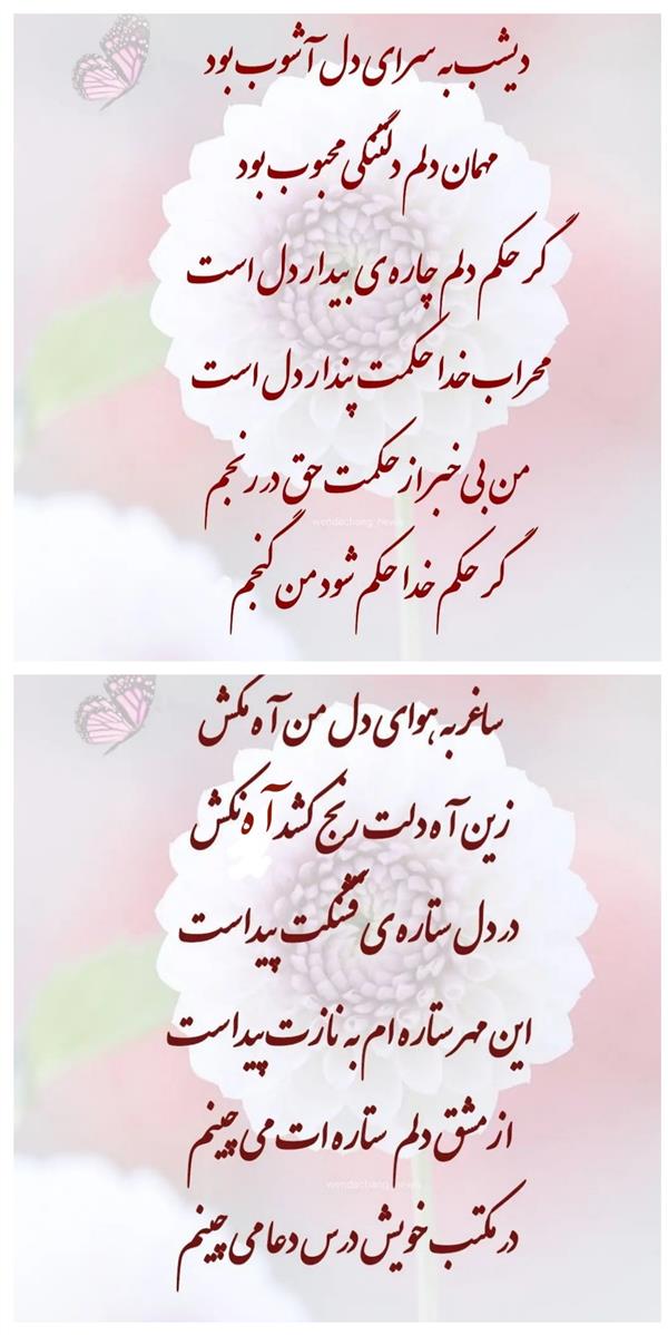 هنر شعر و داستان محفل شعر و داستان زهرا خانکانلو هیاهوی دل