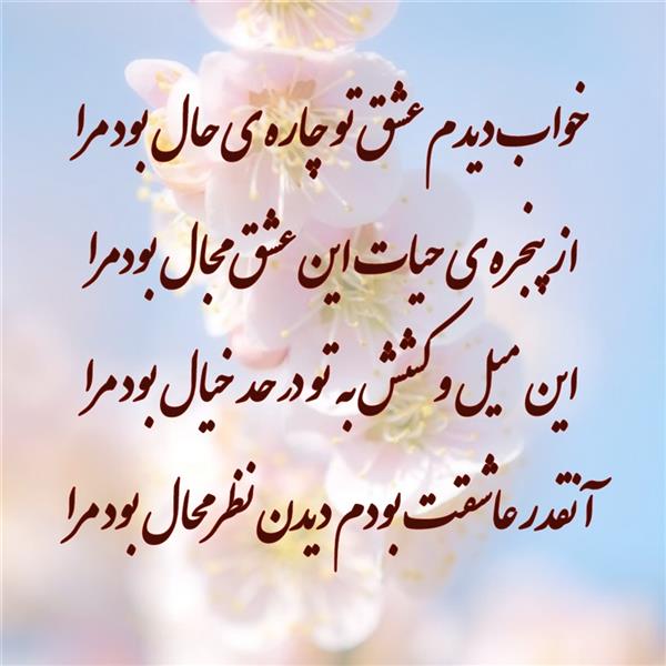 هنر شعر و داستان محفل شعر و داستان زهرا خانکانلو عشق 