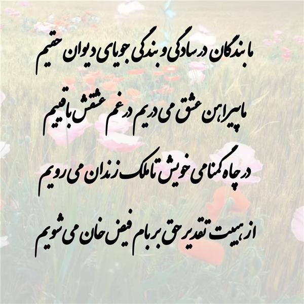 هنر شعر و داستان محفل شعر و داستان زهرا خانکانلو بزرگی 
