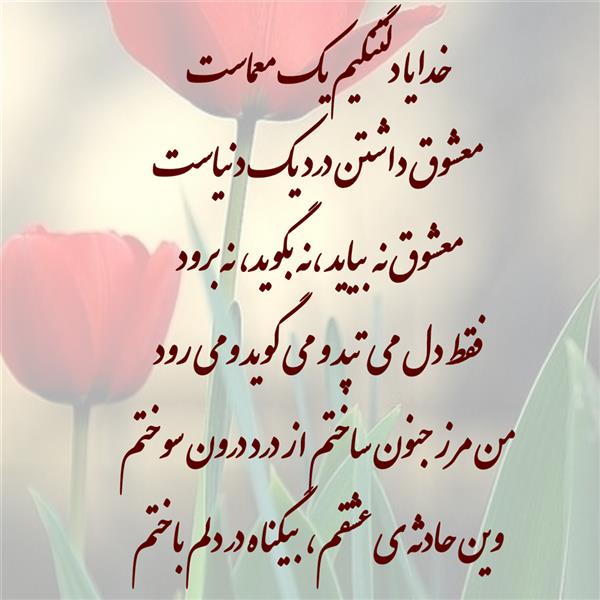 هنر شعر و داستان محفل شعر و داستان زهرا خانکانلو بیگناه