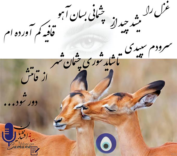 هنر شعر و داستان محفل شعر و داستان سمانه افشاریان 
