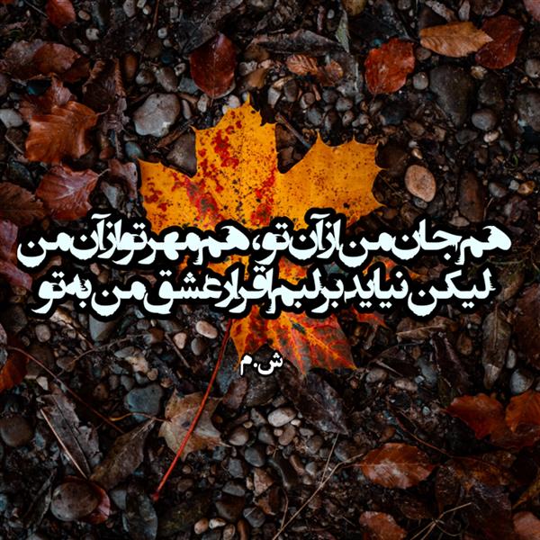 هنر شعر و داستان محفل شعر و داستان شاهرخ مریدی تک بیتی
#شعر #شاهرخ-مریدی #هنر #پوریا #ش.م
