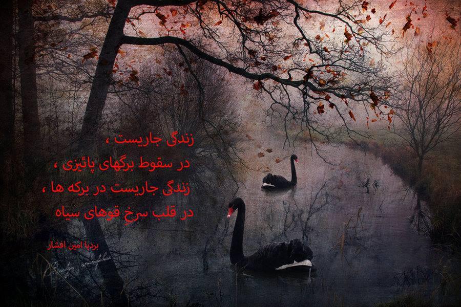 هنر شعر و داستان محفل شعر و داستان بردیا امین افشار زندگی