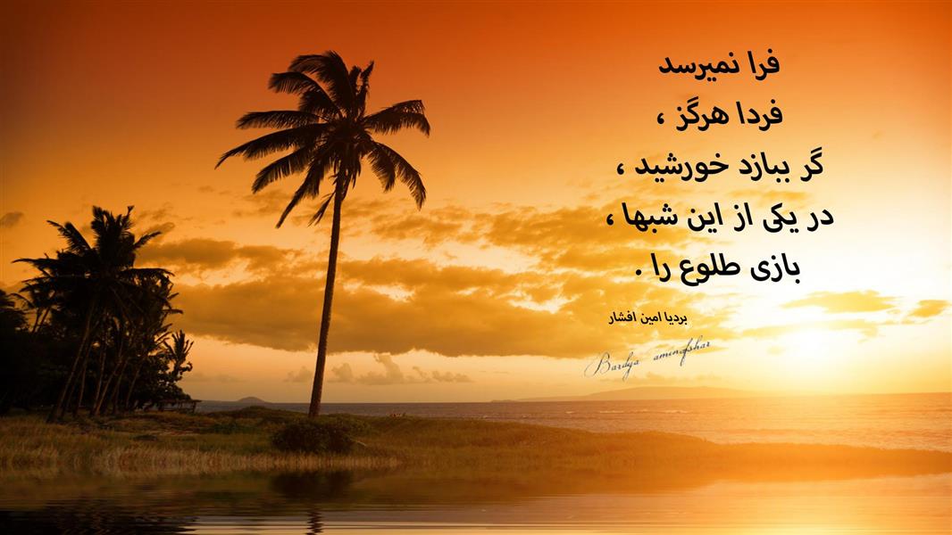 هنر شعر و داستان محفل شعر و داستان بردیا امین افشار فرا نمیرسد