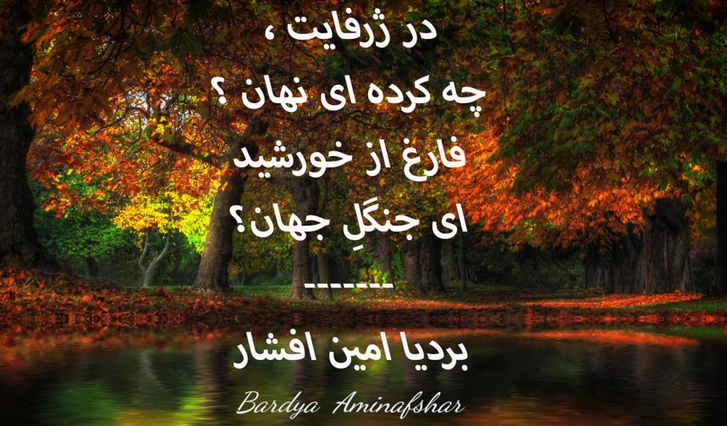 هنر شعر و داستان محفل شعر و داستان بردیا امین افشار #جهان #چامک #شعر_کوتاه #دو_بیتی #بردیا #امین_افشار