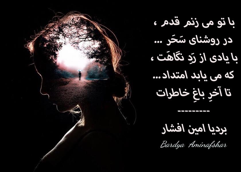 هنر شعر و داستان محفل شعر و داستان بردیا امین افشار #امتداد #شعر_آزاد #چامک #شعر_کوتاه #بردیا #امین-افشار