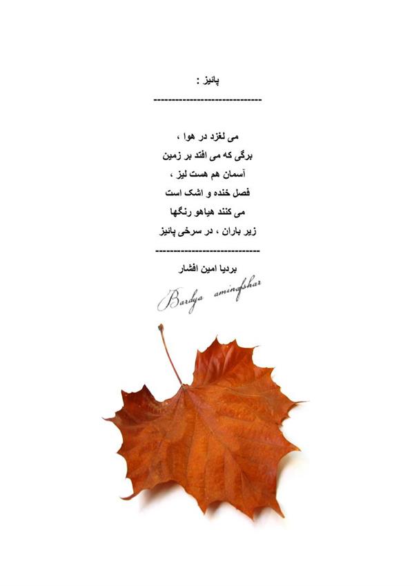 هنر شعر و داستان محفل شعر و داستان بردیا امین افشار پاییز