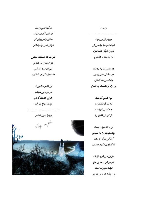 هنر شعر و داستان محفل شعر و داستان بردیا امین افشار #رویا