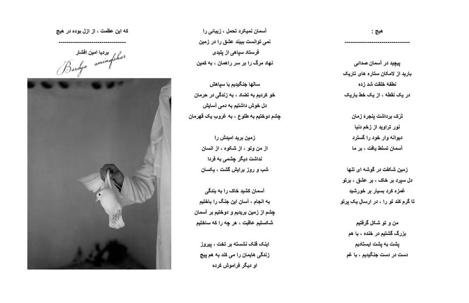 هنر شعر و داستان محفل شعر و داستان بردیا امین افشار هیچ