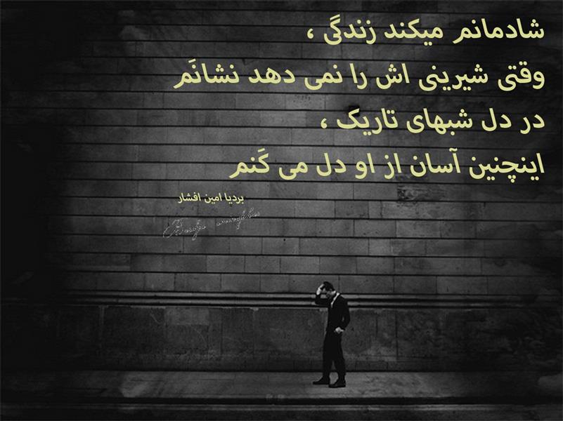 هنر شعر و داستان محفل شعر و داستان بردیا امین افشار زندگی