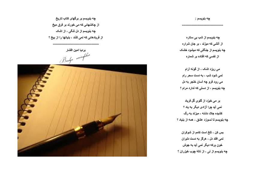 هنر شعر و داستان محفل شعر و داستان بردیا امین افشار چه بنویسم