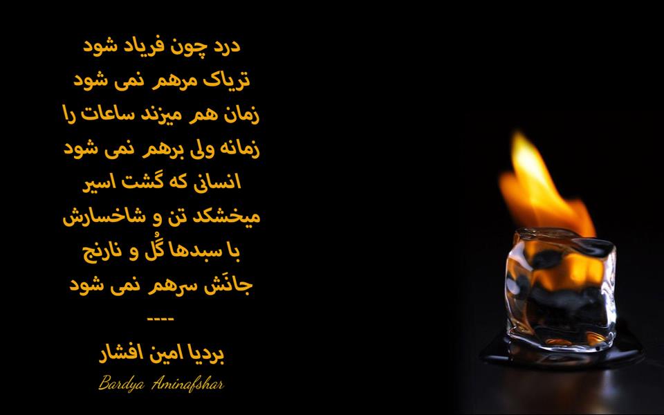 هنر شعر و داستان محفل شعر و داستان بردیا امین افشار #رباعی #شعر_نمی_شود #رباعی_نمی_شود #بردیا #امین_افشار #بردیا_امین_افشار
